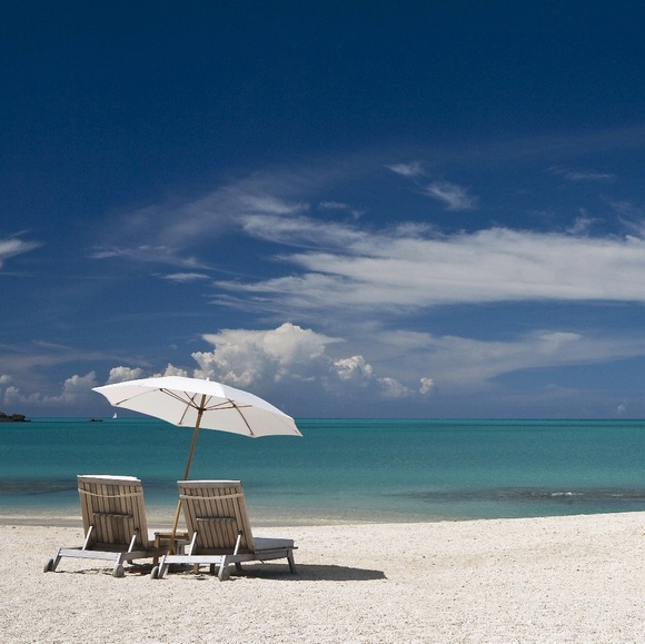 Meet your Posher, Danielle - Picture 1 of 1